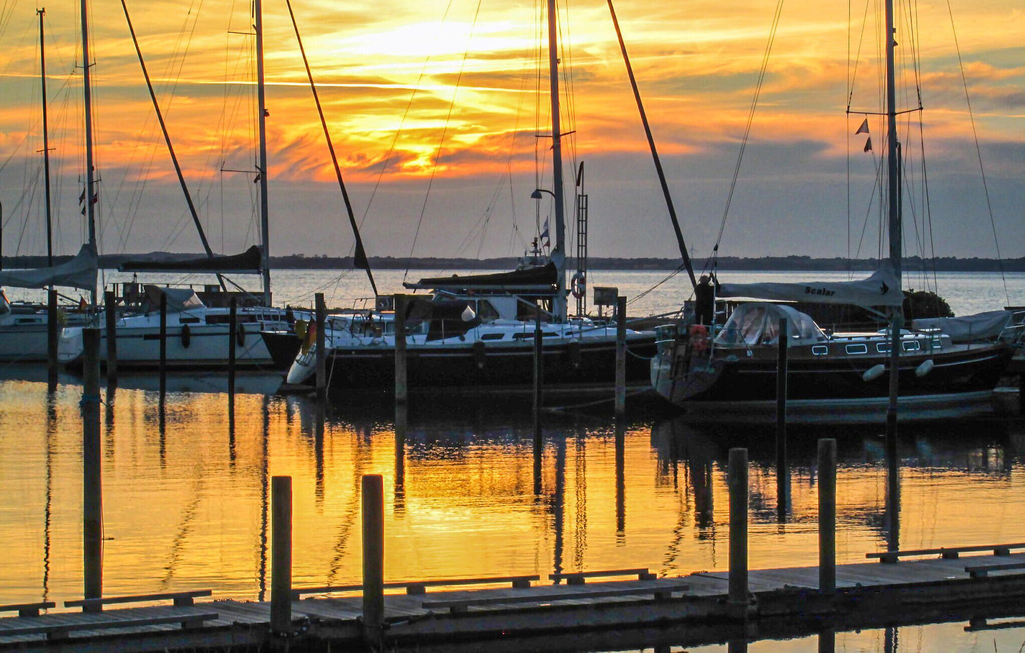 Marina