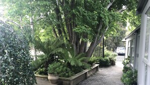 A wooden deck with a pathway leading to a building, surrounded by lush greenery and trees. - THE LODGE - TENNIS,LGE SPA,WOOD FIRE, (Anglesea)