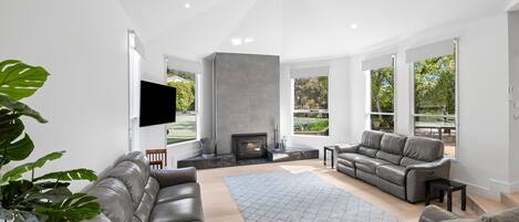 スマートテレビ、暖炉、DVD プレーヤー、おもちゃ