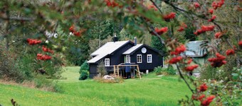 3 bedroom stunning home in Tonstad