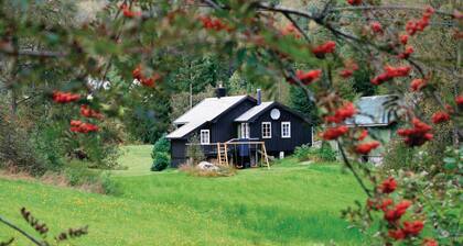 3 bedroom stunning home in Tonstad