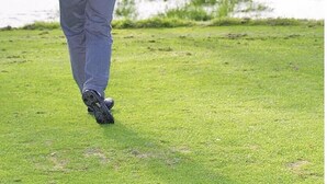 Una persona gioca a golf su un percorso ben curato, con un bacino d'acqua nelle vicinanze.