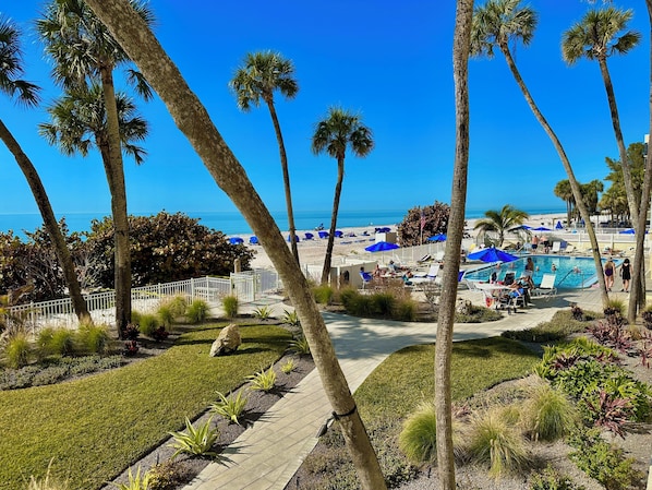Un espace piscine agrémenté de chaises longues et de parasols, entouré de palmiers et offrant une vue sur la plage.