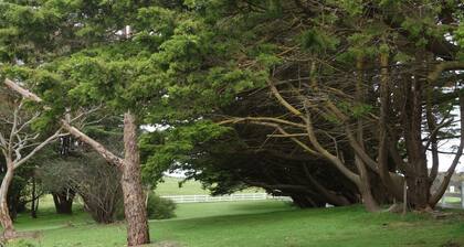 Morella Farm Stay: experiencia única de estilo de granja