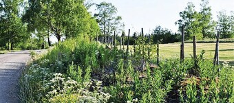 3 bedroom stunning home in Bodafors