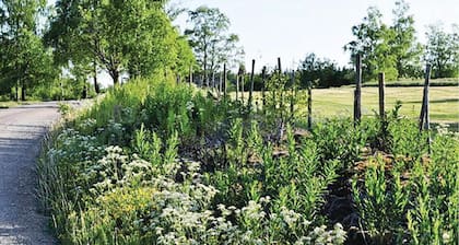 Superbe maison de 3 chambres Ă Bodafors