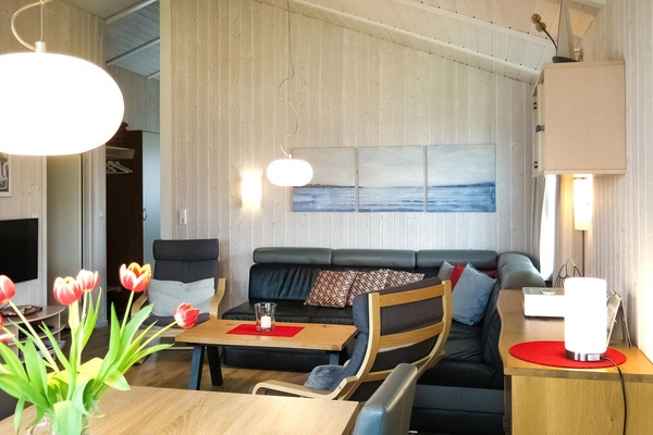 Televisión, chimenea, reproductor de DVD