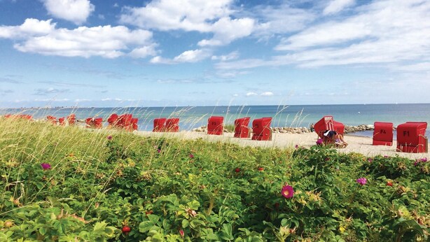 A beach with red chairs and a view of the sea. - Beach front home in Schönhagen (Schönhagen)