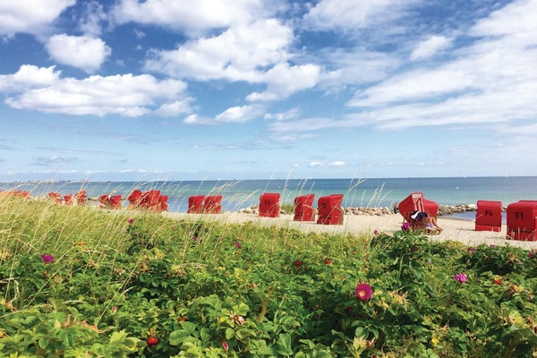 Playa en los alrededores y pesca