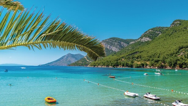 A clear turquoise sea with boats, a palm tree, and a mountainous backdrop.
