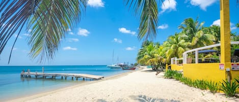 A beach with a wooden pier extending into calm waters, palm trees, and a clear blue sky.
