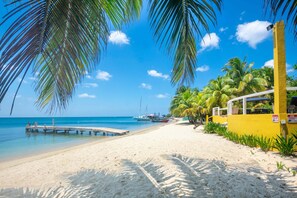 A beach with a wooden pier extending into calm waters, palm trees, and a clear blue sky. - Large Beachfront Penthouse w/Private Rooftop & Plunge Pool (Roatan)