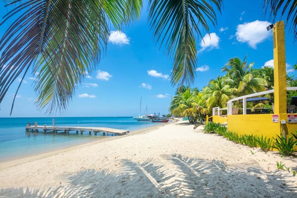 A beach with a wooden pier extending into calm waters, palm trees, and a clear blue sky.