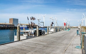 Marina