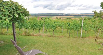 1 bedroom nice home in Deutsch-Schützen