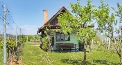 1 bedroom nice home in Deutsch-Schützen