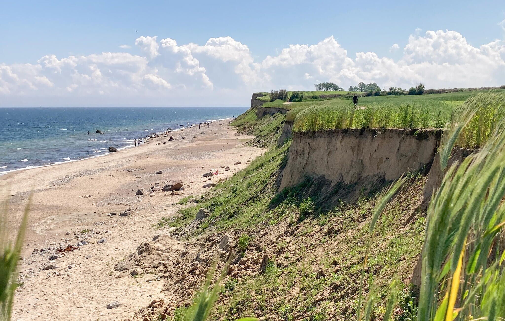 Plage à proximité, pêche récréative