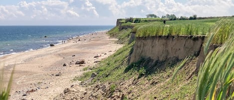 ビーチの近く、釣り