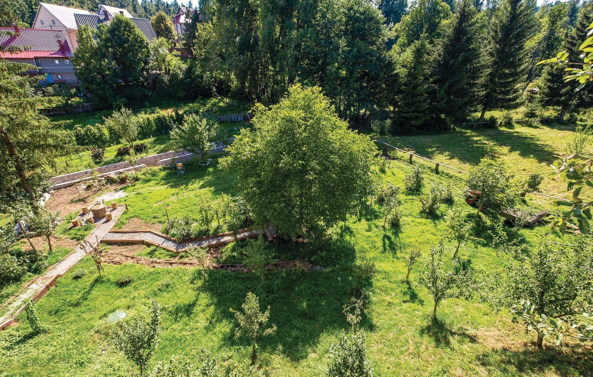Un paysage rural avec un grand arbre, un chemin de terre et un bâtiment doté d’un toit rouge.