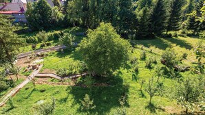 A rural landscape with a large tree, a dirt path, and a building with a red roof. - 3 bedroom nice home in Fuzine (Fuzine)
