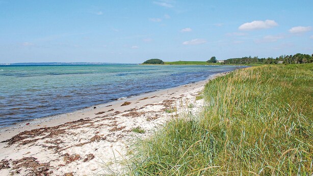 Ein Strand mit klarem Wasser, sandigem Ufer und grünen Bereichen.