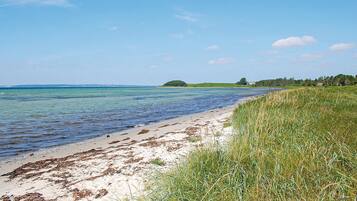 Beach nearby, fishing