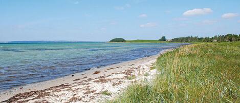 In Strandnähe, Angeln