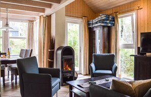 Fernseher, Kamin, DVD-Player