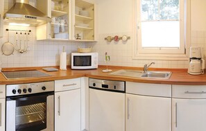 Kühlschrank, Mikrowelle, Herdplatte, Geschirrspüler