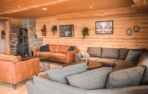 TV, fireplace, DVD player