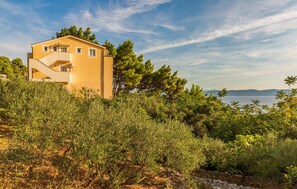 Exterior - Pet friendly apartment in Zivogosce (Zivogosce)