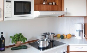 Kühlschrank, Mikrowelle, Herdplatte, Geschirrspüler