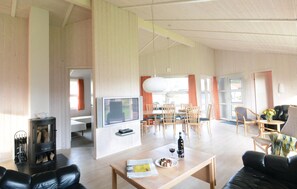Fernseher, Kamin, DVD-Player