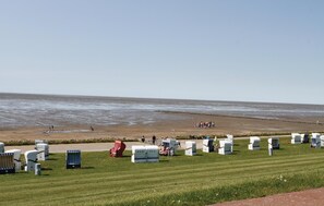 Pesca