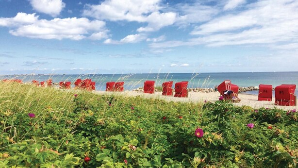 Una playa con sillas rojas y una vista despejada del mar.