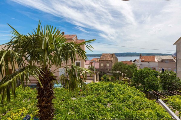 A residential area with houses, a palm tree, and a body of water in the background.