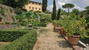 Un sendero en un jardín con plantas en macetas y una estructura de pérgola.