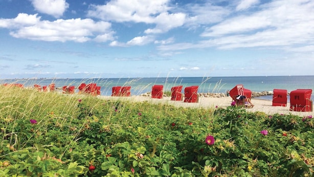 Una playa con sillas rojas alineadas y un área de césped con plantas y flores.