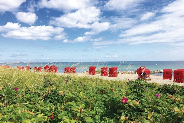 Vlak bij het strand, vissen