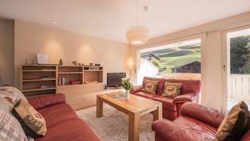 Fernseher, Kamin, DVD-Player