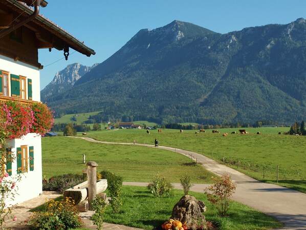 Paisagem rural com montanha ao fundo, estrada e um edifício com varanda.