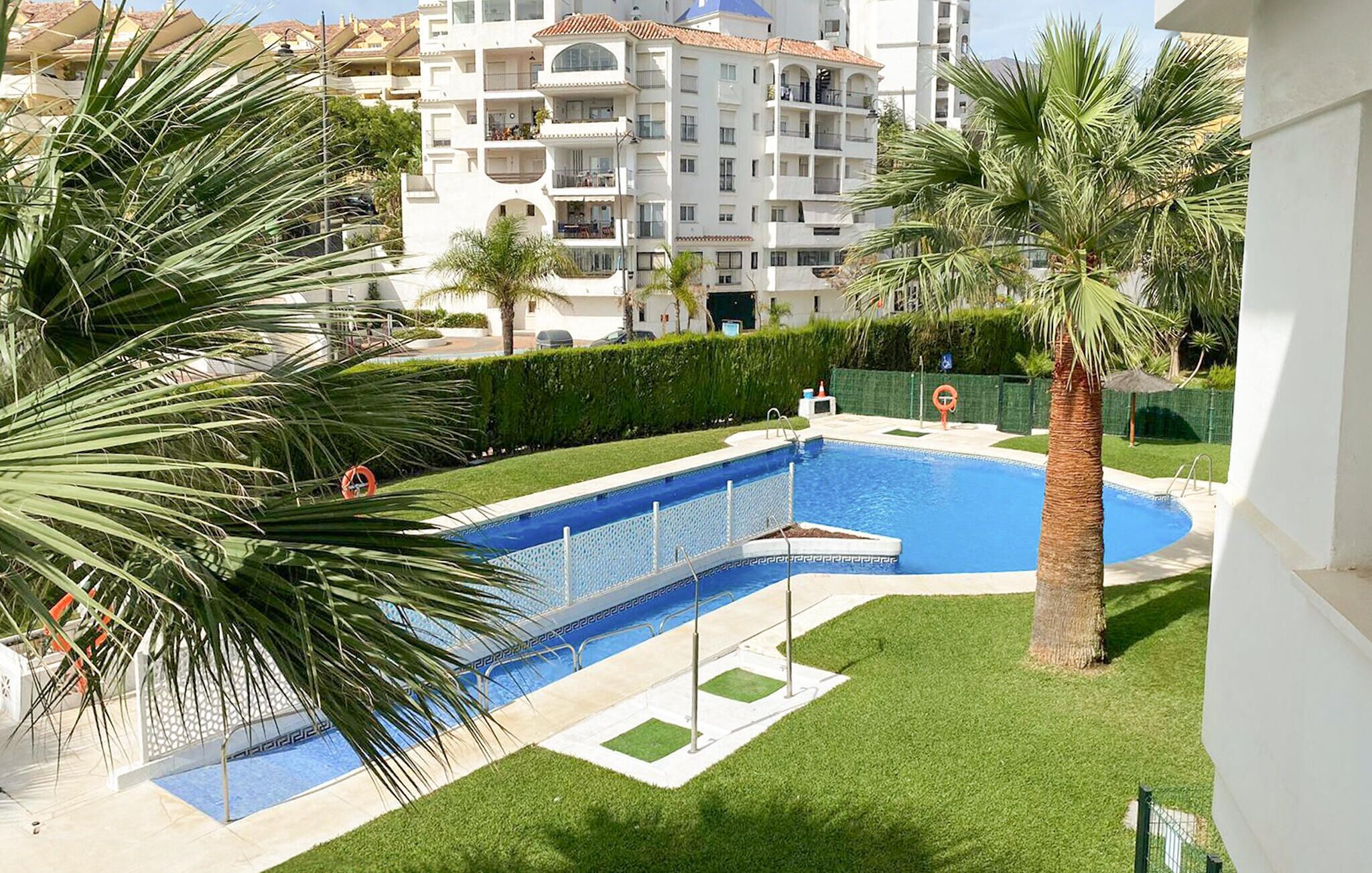 A swimming pool with a palm tree and a hedge, surrounded by a well-maintained lawn.