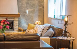 TV, fireplace, table tennis