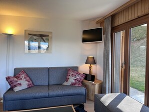 Televisio, DVD-soitin