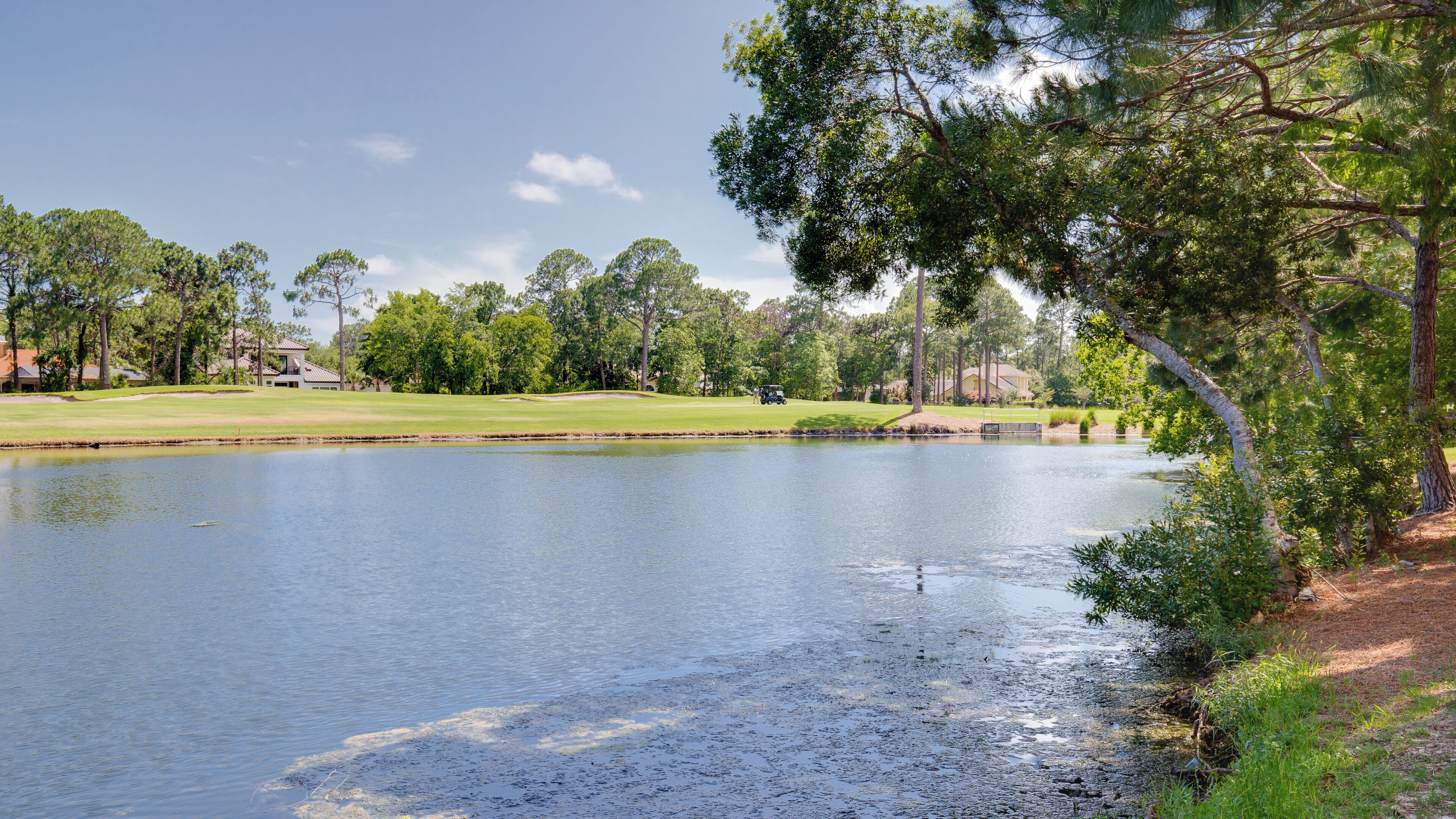 A golf course with a pond, trees, and houses in the background.