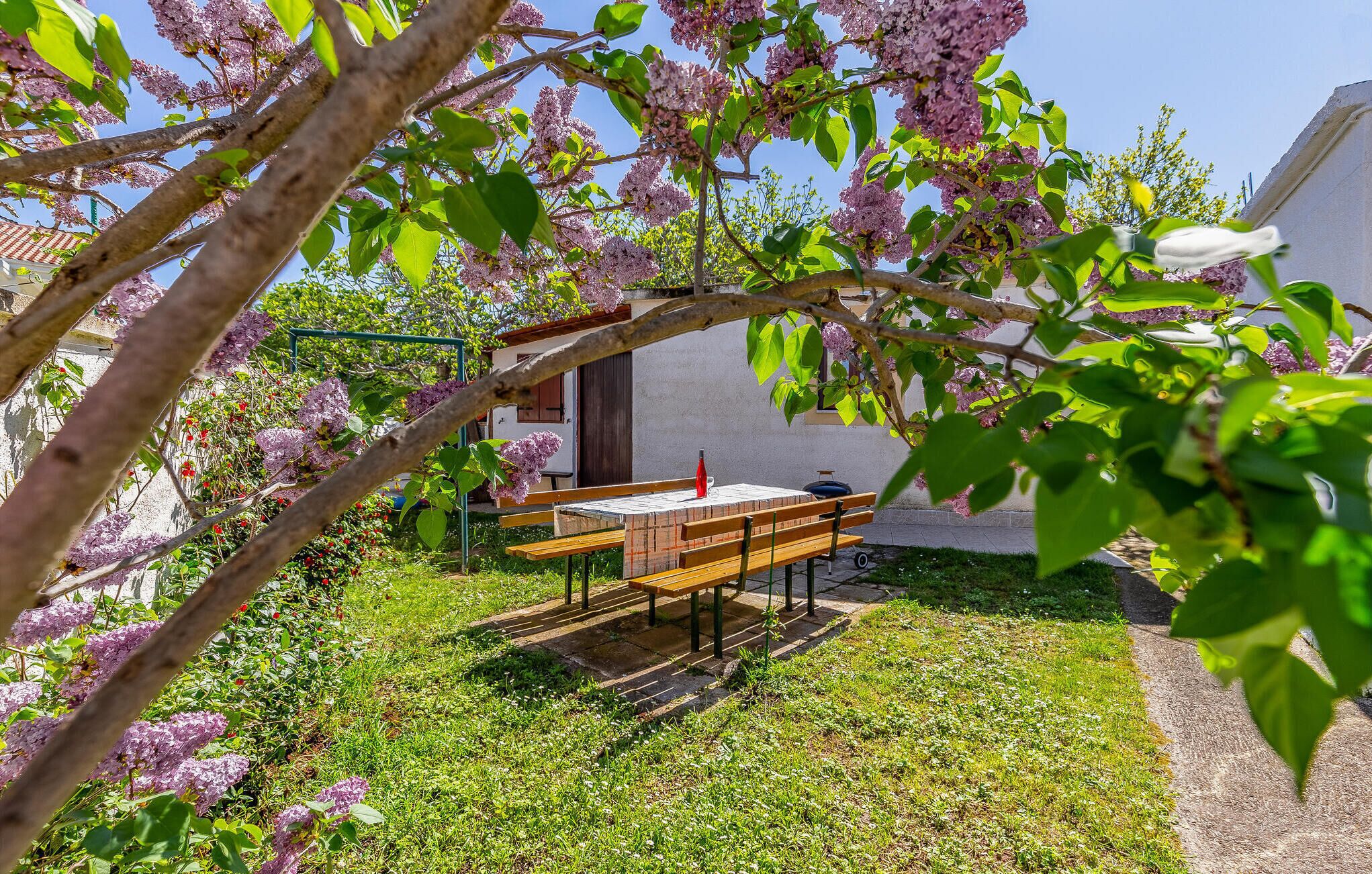 Um jardim com um banco de madeira e uma mesa, rodeado por lilases floridos.