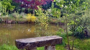 Un banco de piedra en un parque con un estanque y varios árboles.