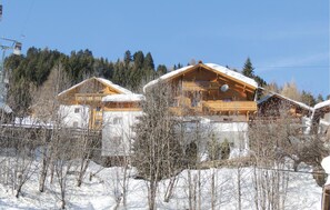 Exterior - Ferienwohnung in Tiroler Stil (Kappl)