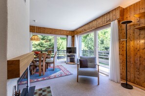 Télévision, cheminée, lecteur de DVD