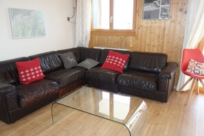 Télévision, cheminée, lecteur de DVD